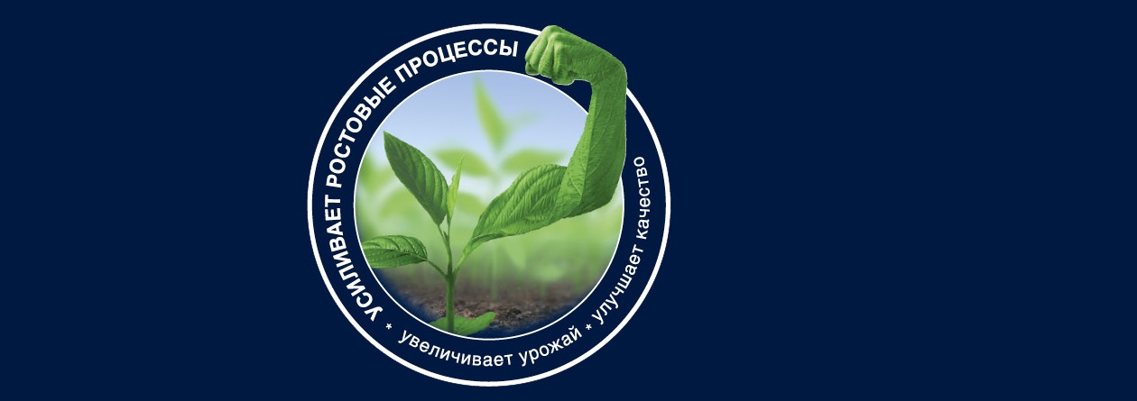 Сила изнутри