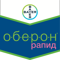 Оберон Рапид