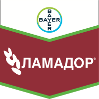 Ламадор
