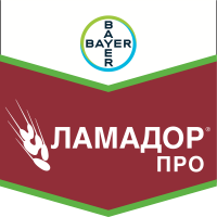 Ламадор Про