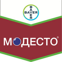 Модесто