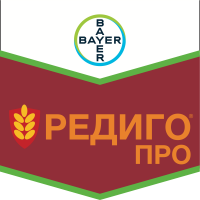 Редиго Про