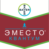 Эместо Квантум