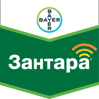 Зантара