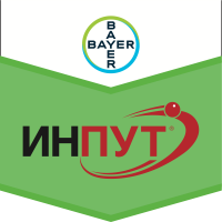 Инпут