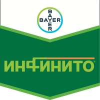 Инфинито