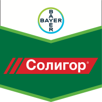 Солигор