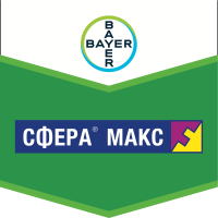 Сфера макс
