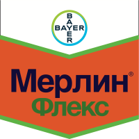 Мерлин Флекс