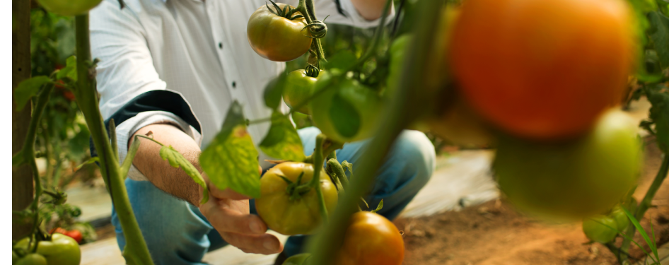 Научно-популярный журнал Crop Science