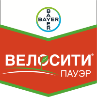 Велосити Пауэр