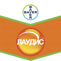 Лаудис