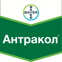 Антракол