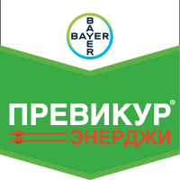 Шеврон Превикур Энерджи