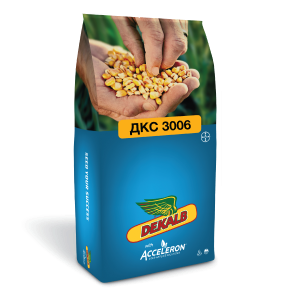 Семена гибридов кукурузы ДКС 3006 фото