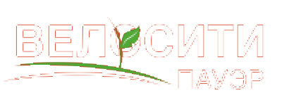 Велосити Пауэр