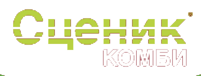 Сценик Комби
