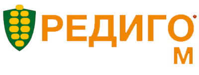 Редиго М