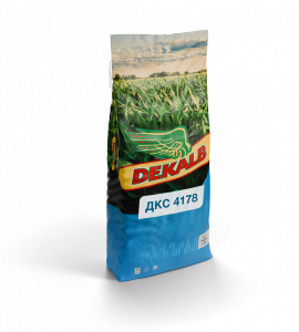 Семена гибридов кукурузы ДКС 4178 Семена гибридов кукурузы ДКС 4178 фото