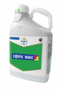 Сфера макс