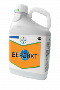 Вердикт