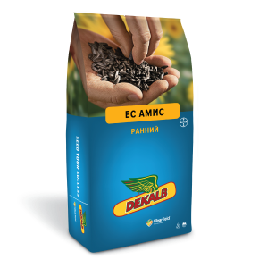 ЕС АМИС
