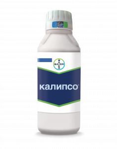 Калипсо