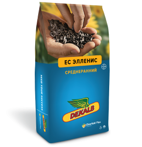 ЕС ЭЛЛЕНИС