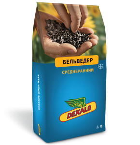 БЕЛЬВЕДЕР Среднеранний