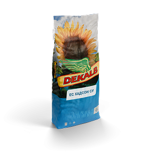 ЕС ХАДСОН СУ