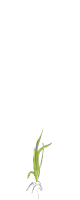 1,2,3 лист