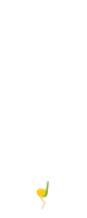 Посев