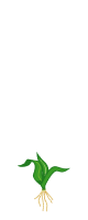 2-й лист