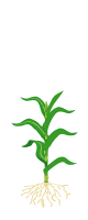 5-й лист