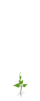 1,2,3, лист