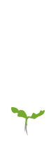 4-5 листьев