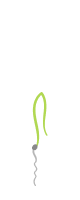Шильце