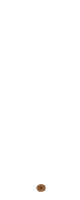 Посев