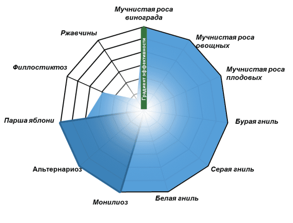 Спектр активности