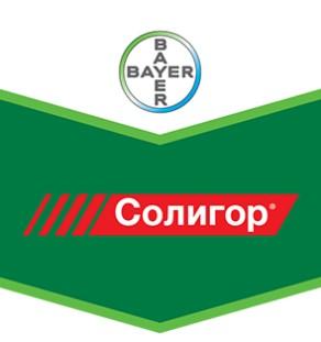Солигор