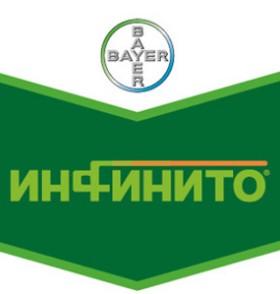 Инфинито