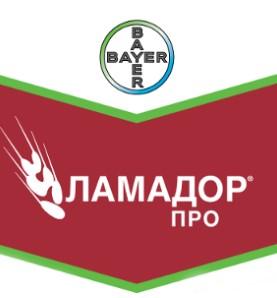 Ламадор Про
