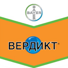 Вердикт