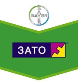 Зато